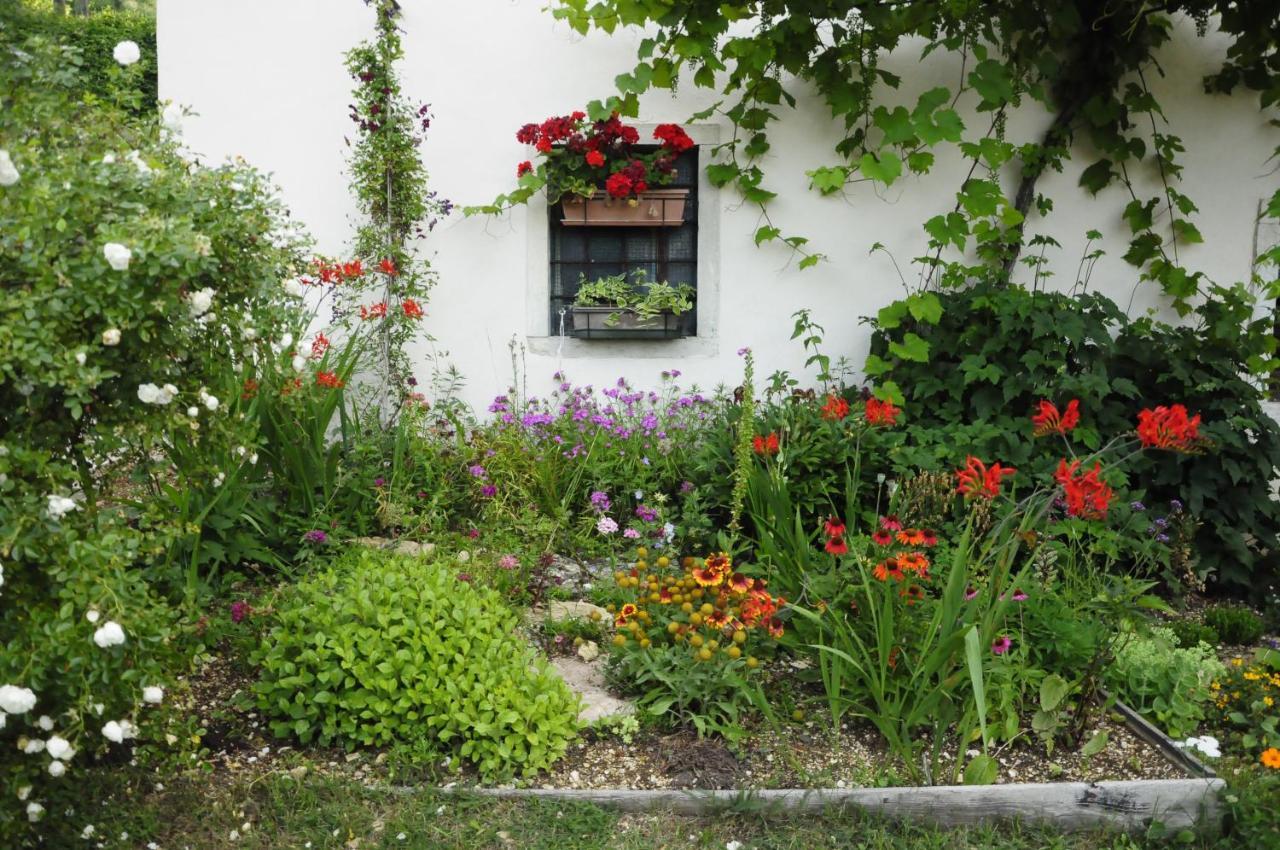 Bed and Breakfast Il Sanco Selva di Progno Екстер'єр фото