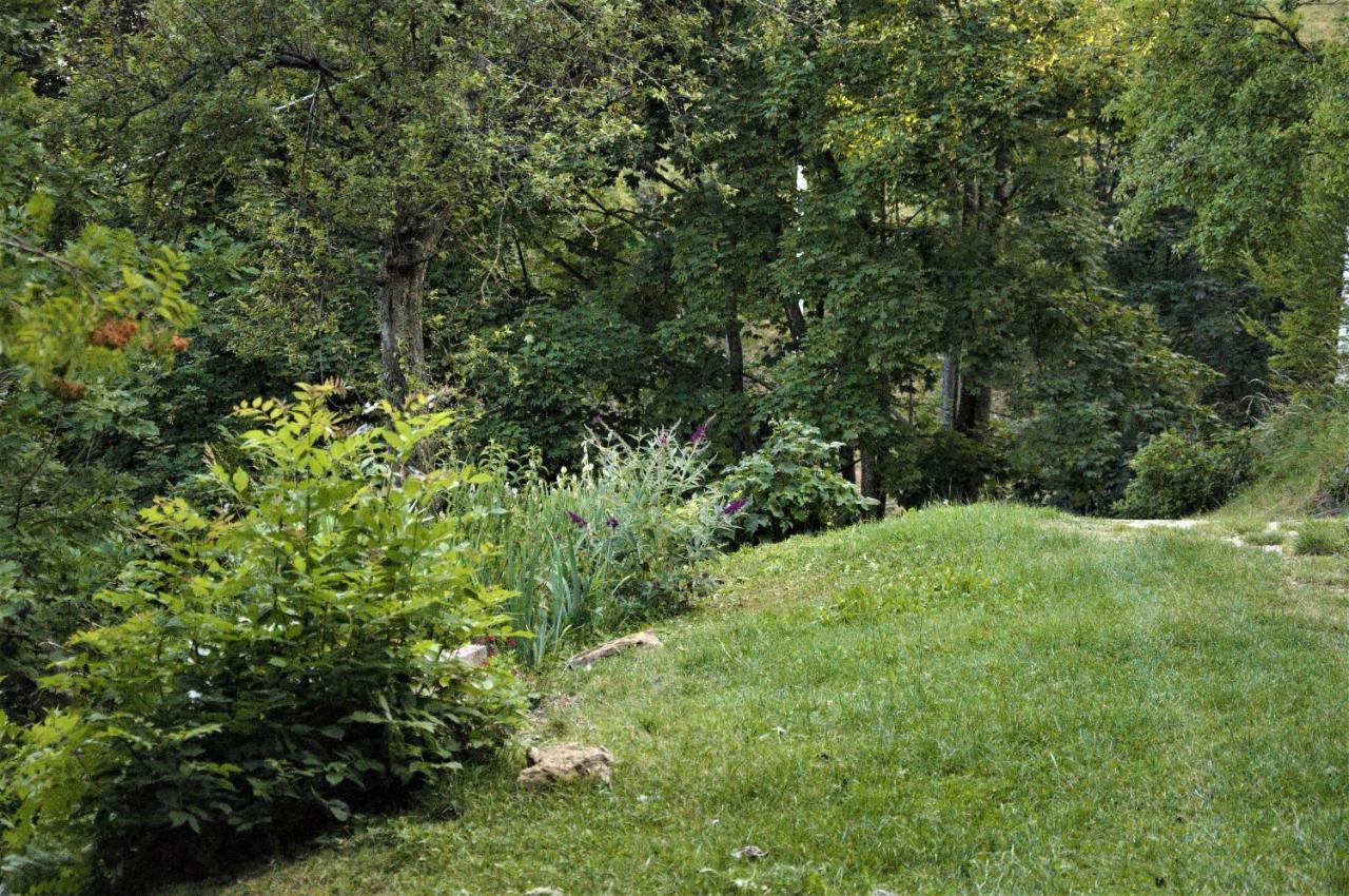 Bed and Breakfast Il Sanco Selva di Progno Екстер'єр фото